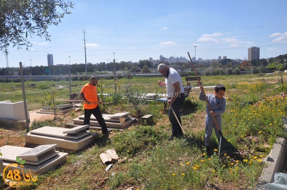 tasohamlalanjna (52).jpg